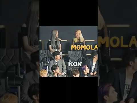 The reaction of kpop idols to hwasa🥰 #mamamoo #hwasa