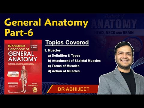 General Anatomy: (Part 6) MUSCLES - Attachment of Skeletal Muscles, Action of Muscles