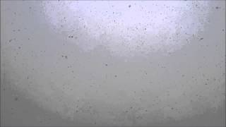 첫눈이 온다구요 The First Snow’s Falling - 손승연 Son Seung Yeon