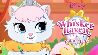Whisker Haven Tales with the Palace Pets | Season 2: Episodes 1 – 10 | Disney