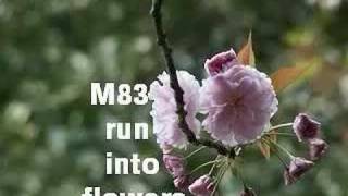 M83 - Run Into Flowers (abstrackt keal agram remix)