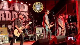 Mad Caddies - Reflections - Live
