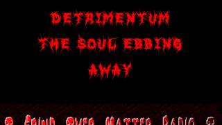 Detrimentum - The Soul Ebbing Away