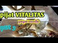 STORY Inibarupijat Pijat VITALITAS Strong Duration Part3 Papa Muda