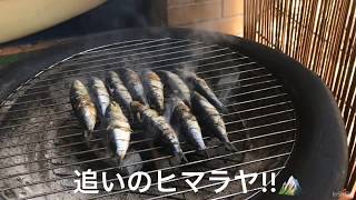 シドニーでポルトガル産サーディン1kgをBBQで焼いてみたら押忍だった