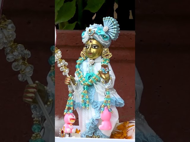 Harikrushna Maharaj