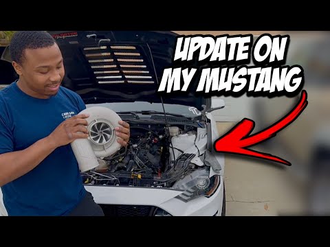 UPDATE On My BLOWN Supercharged Mustang!