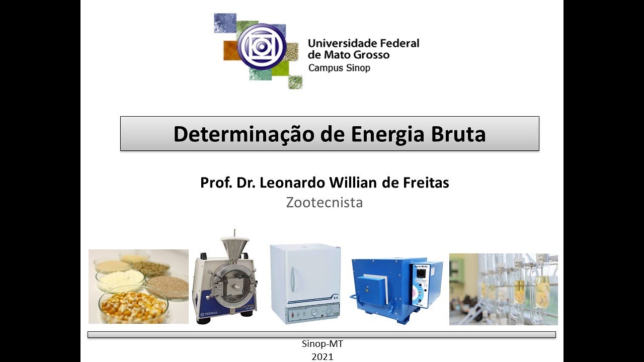 Determinação de Energia Bruta, Métodos de avaliação de alimentos e NIRS