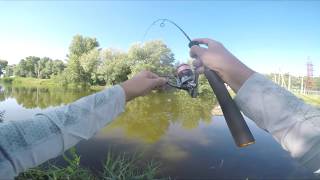 Daiwa presso lukina 60 4ul