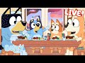 LIVE Family Feast With Bluey 30 MINUTES Bluey