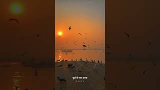 Download lagu Tum ho mere to ab hai mausam ghulam apna status ❣️ Love song status for whatsapp#reels#lovestatus mp3