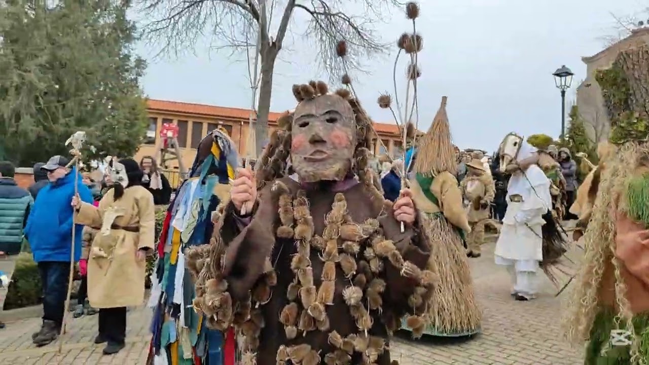 Carnaval de Mecerreyes 2025