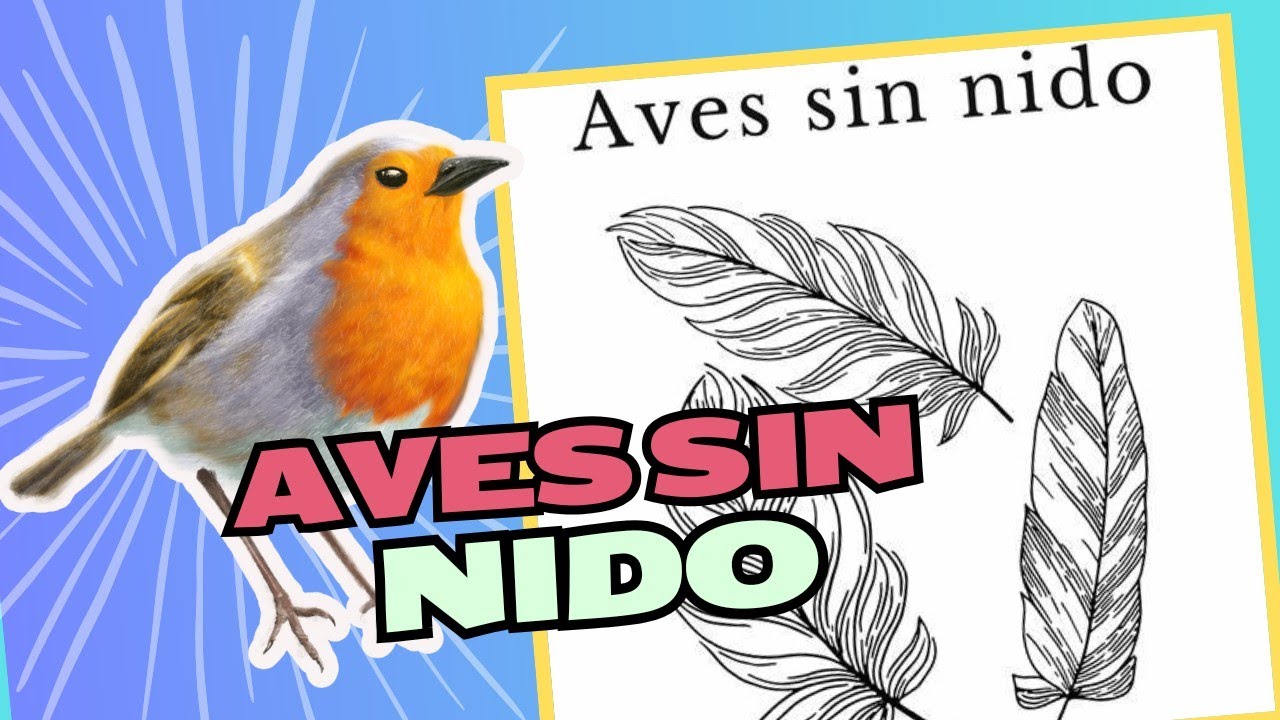 📖 Aves sin Nido en 3 minutos ⏳