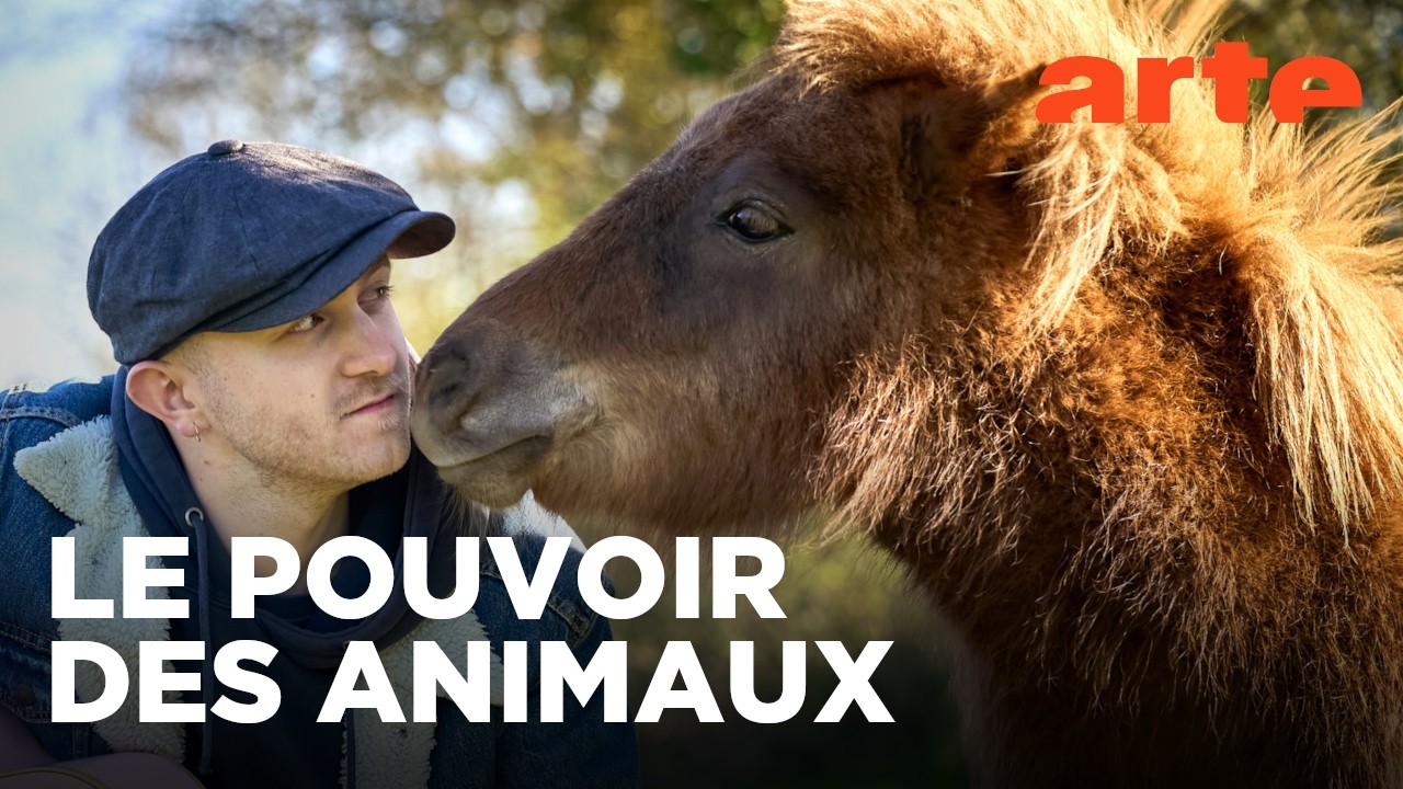 Des âmes sœurs ? Pourquoi les animaux nous font du bien | Twist | ARTE