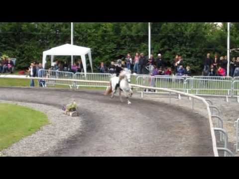 DJIM 2010 - H.V2-VE - www.isibless.de