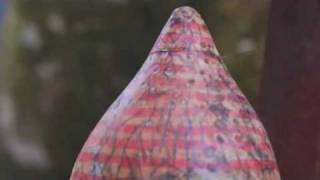 Neon Indian - 6669 (I Don&#39;t Know If You Know) OFFICIAL MUSIC VIDEO