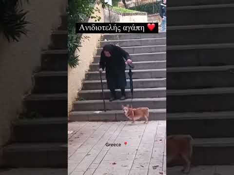 Ανιδιοτελής αγάπη!