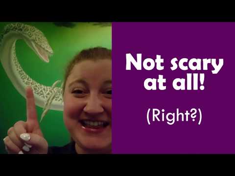 Swimming with Marine Reptiles