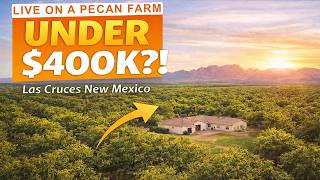 Live the Pecan Farm Life in this Beautiful Home for $363,000