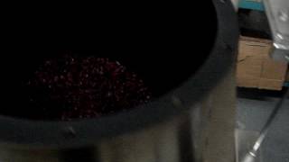 Cranberries