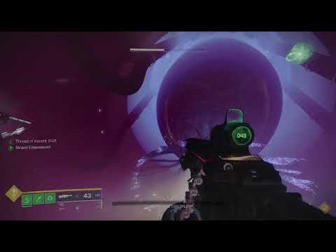 Calus Solo Legendary cheese