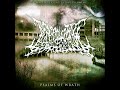 Disarticulating Extinguishment Psalms Of Wrath Full Album