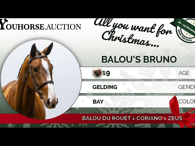 Balou's Bruno