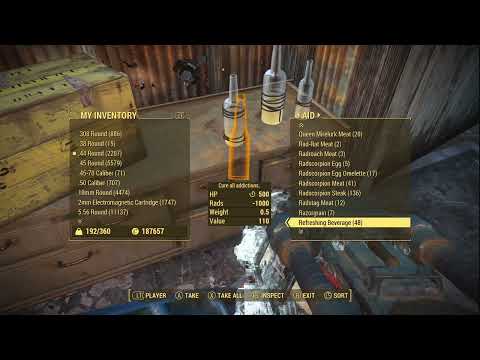 Fallout 4 - 8 Years Worth Of Collected Food