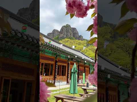 겹벚꽃이 만개한 주왕산