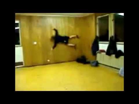 Mokai fuglen fail! Dybvaaad