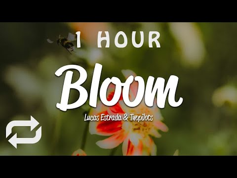 [1 HOUR 🕐 ] Lucas Estrada, TWOPILOTS - Bloom (Lyrics)