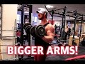 HOW TO GET BIGGER ARMS!