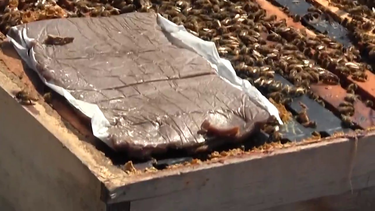 How to use Beekeeping Pollen Patties