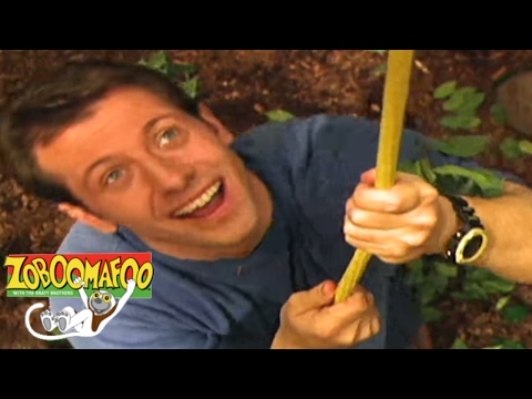 🐒 Zoboomafoo 121 - Giants | HD | Full Episode 🐒
