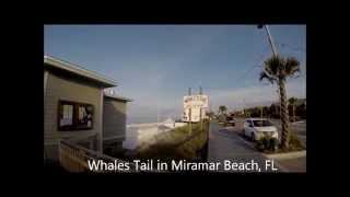 preview picture of video 'Whales Tail in Miramar Beach Florida is a great place to hang out'