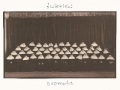 Świetliki - Bałwan 