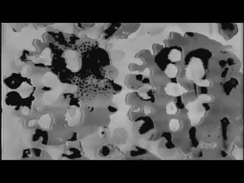 Video thumbnail for BONES