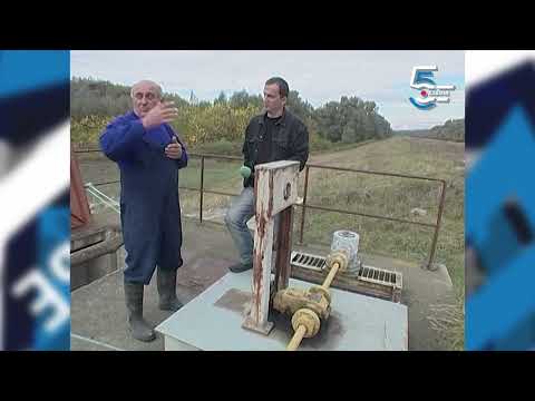 Čuvar benta, retko i neobično zanimanje - Borino 5kazanje