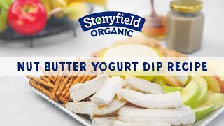 Nut Butter Yogurt Dip Recipe - Catherine McCord