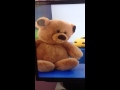 Emily S Teddy Bear