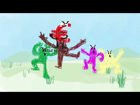 Philosophie Grundkurs Q2: Staatsphilosophie Folge 3: John Locke