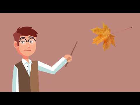 Jesień z Panem Nauczanką [Film Edukacyjny dla Dzieci]