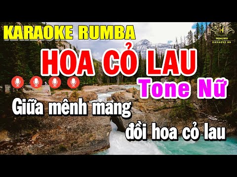 Hoa Cỏ Lau Karaoke Tone Nữ ( Em ) Nhạc Sống Rumba | Trọng Hiếu