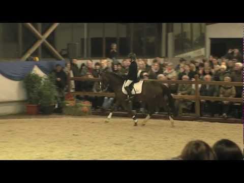 Gestüt Ligges Towerlands Angelzarke 2012