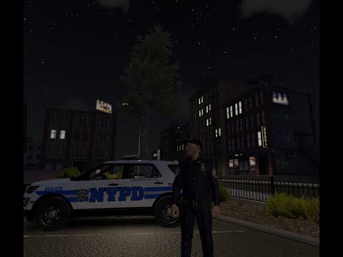 FLASHING LIGHTS | NYPD Night Patrol