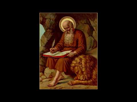 SAN MARCO DE LEON PALO