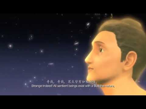 Đức Phật Tại Nhân Gian, Phim Hoạt hình Phật Giáo, Pháp Âm HD
