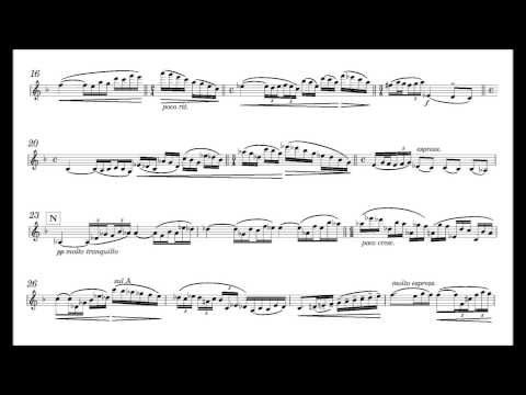 Röntgen, Julius  violin concerto no.1