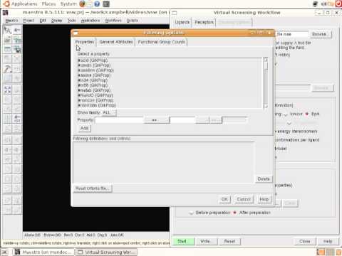 Virtual Screening Workflow