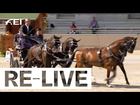 RE-Live | Dressage Day 2 - FEI Driving World Championship Four in Hand